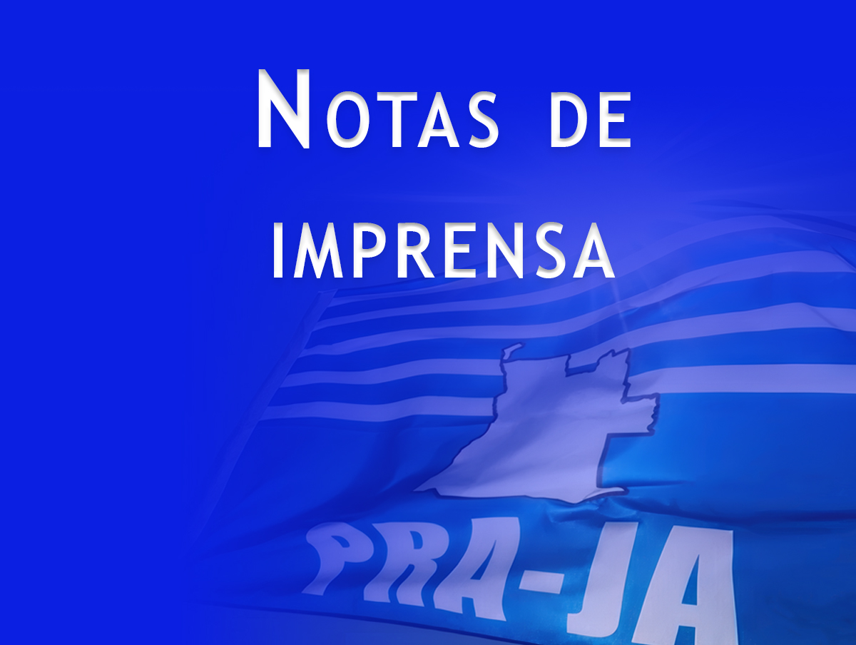 Notas de impresa cover